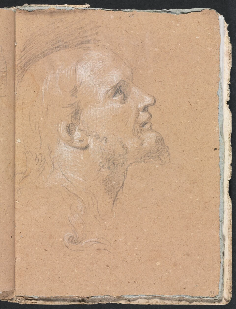Testa maschile di profilo - Cleveland Museum of Art